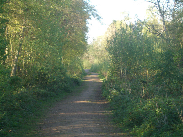 CIMG0056.JPG