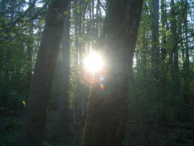 CIMG0064.JPG