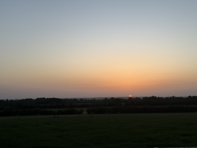 IMG_8014.jpeg