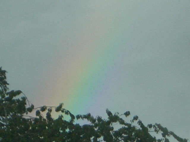 CIMG0146.JPG
